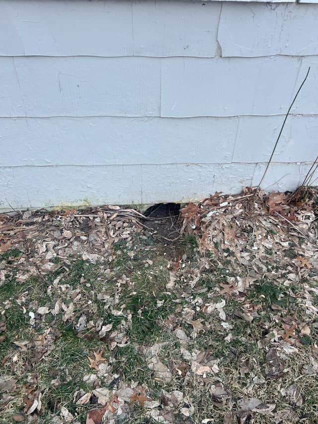 1527 E Decatur St, Decatur, IL: owner financed home, photo 7