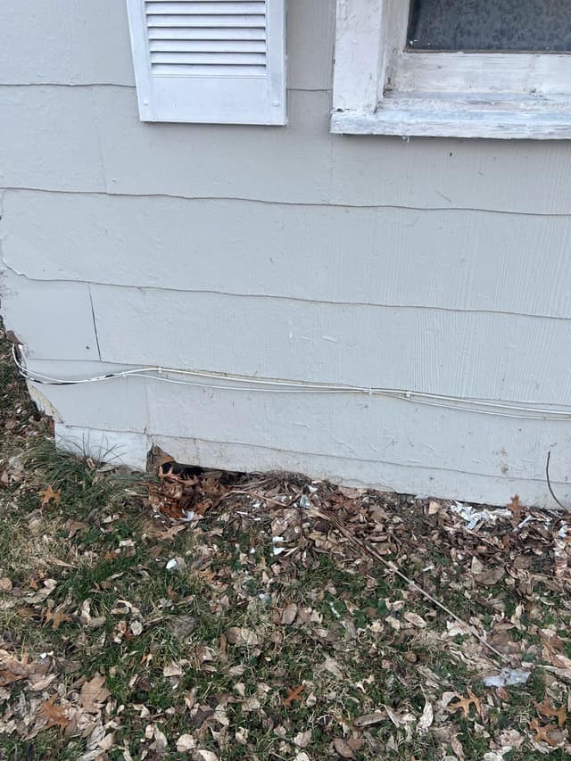 1527 E Decatur St, Decatur, IL: owner financed home, photo 11