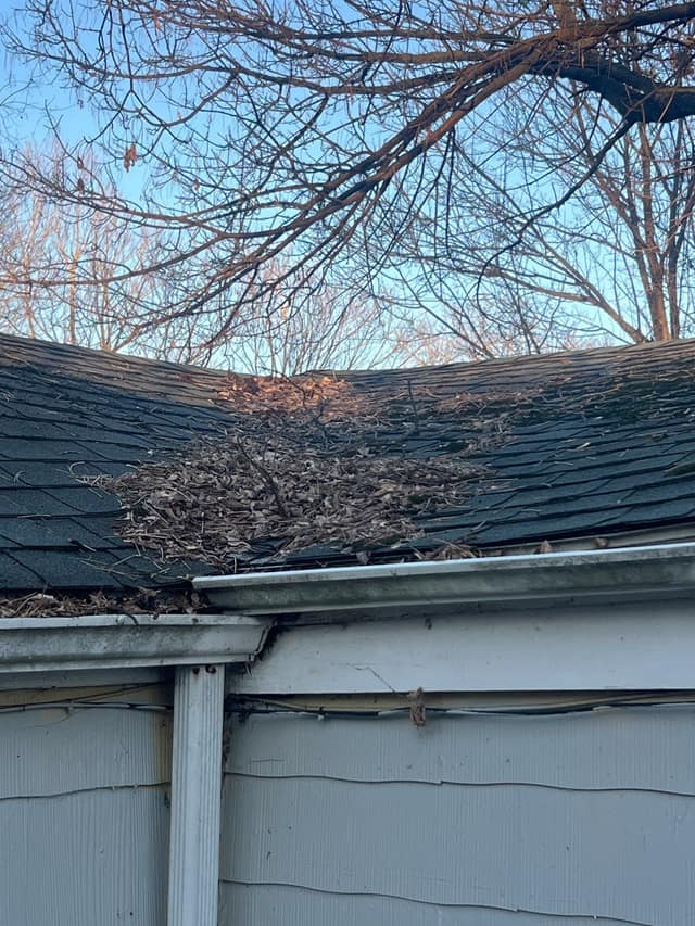 1527 E Decatur St, Decatur, IL: owner financed home, photo 13