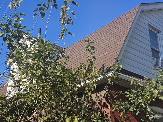 2636 Market Ave, East St. Louis , IL: owner financed home, photo 17