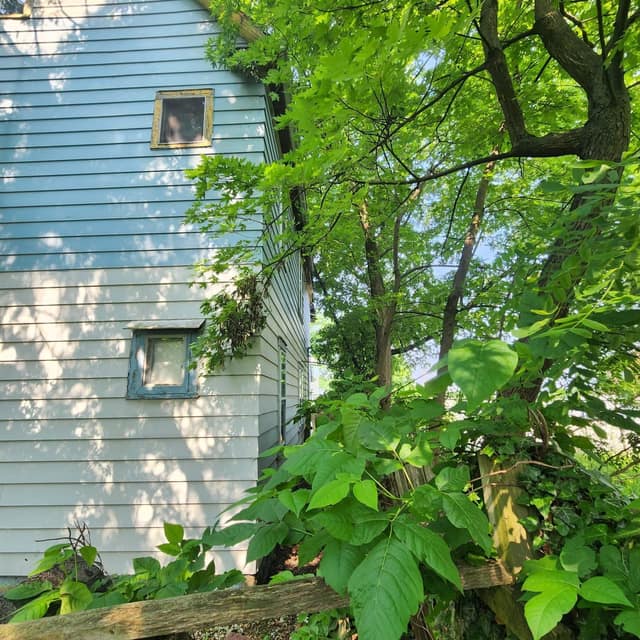 2847 E 98th St, Cleveland, OH: owner financed home, photo 1
