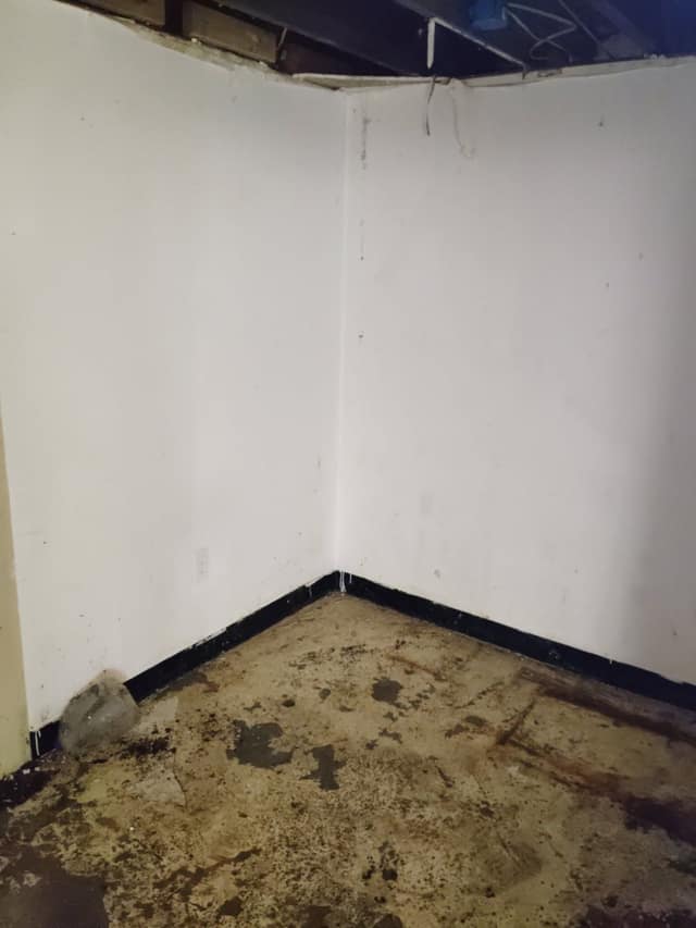 3729 Avondale Avenue, St. Louis, MO: owner financed home, photo 22