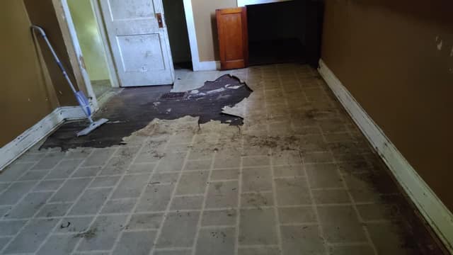 5257 Alcott Ave, St. Louis, MO: owner financed home, photo 6