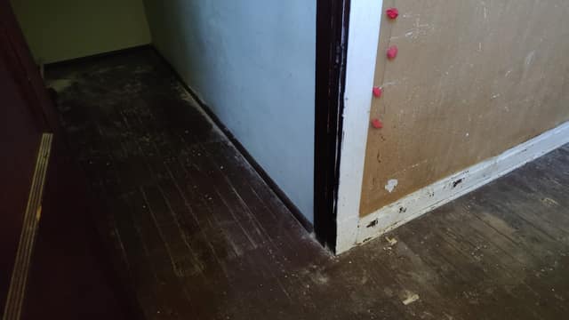 5257 Alcott Ave, St. Louis, MO: owner financed home, photo 9