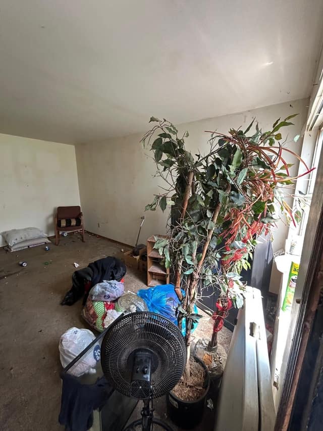 59 Jarvis Pl, East St. Louis, IL: owner financed home, photo 5