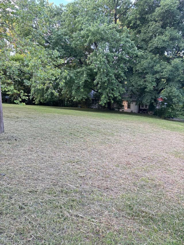 108 E Shipping St, Edwardsport, IN: owner financed home, photo 3