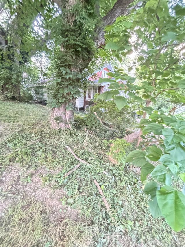 108 E Shipping St, Edwardsport, IN: owner financed home, photo 12