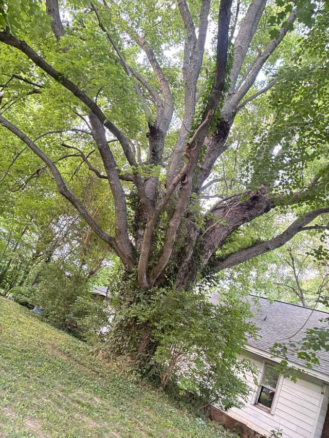 108 E Shipping St, Edwardsport, IN: owner financed home, photo 20