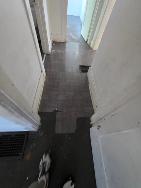 1705 E North St, Decatur, IL: owner financed home, photo 16
