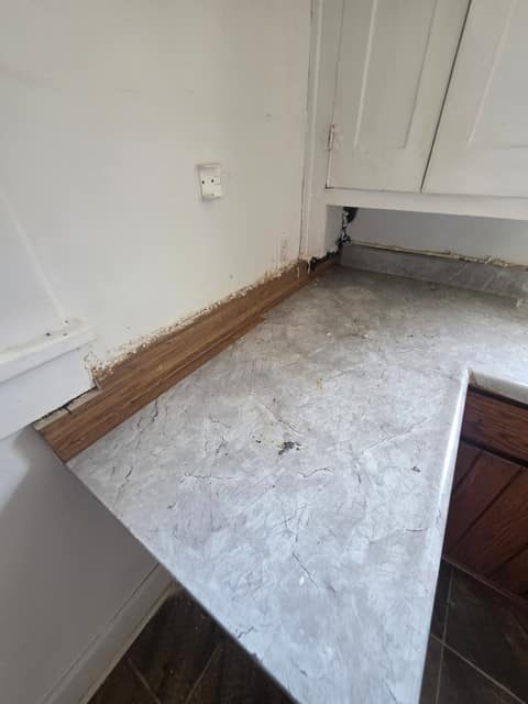 1705 E North St, Decatur, IL: owner financed home, photo 25
