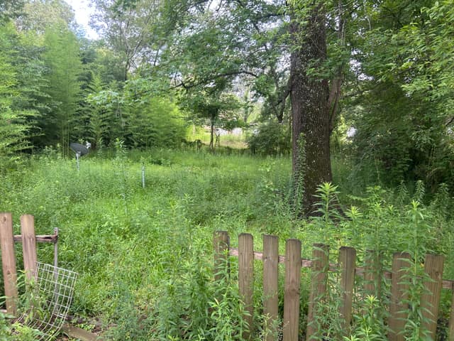451 Mason Blvd, Jackson, MS: owner financed home, photo 6