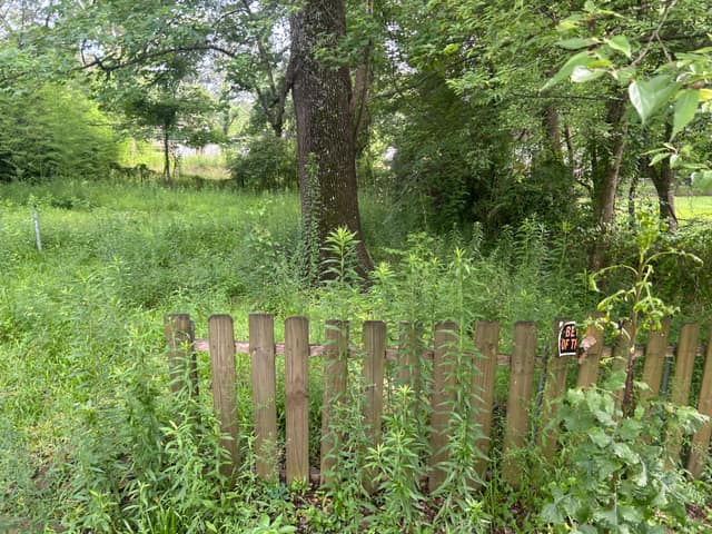 451 Mason Blvd, Jackson, MS: owner financed home, photo 7