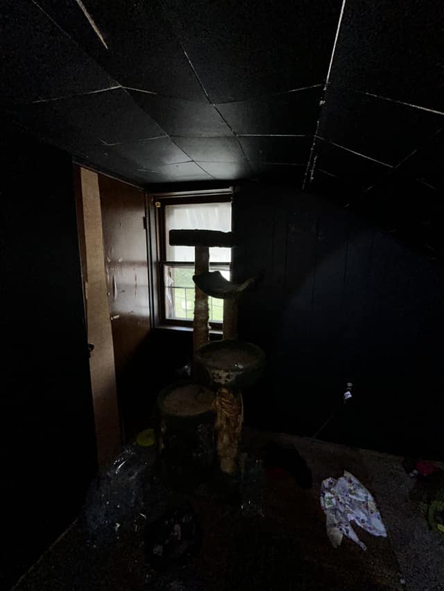 233 N 11th St, Belleville, IL: owner financed home, photo 42