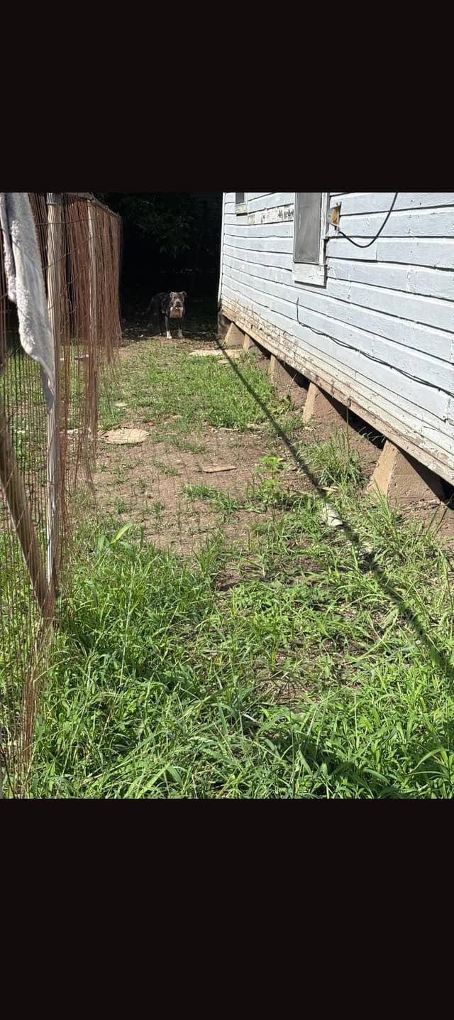 505 Sicily Street, Greenville, MS: owner financed home, photo 10