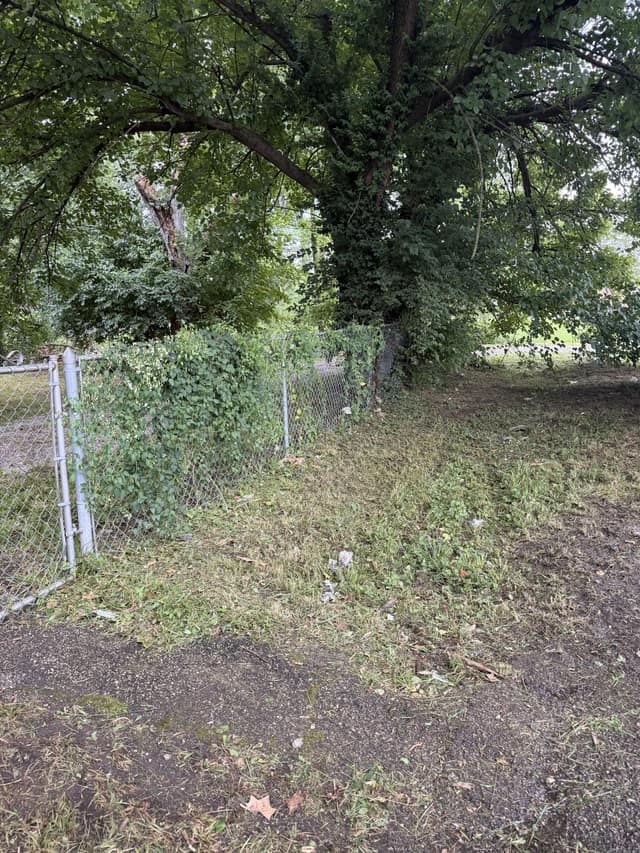 5050 Hallows Avenue, East St. Louis, IL: owner financed home, photo 30