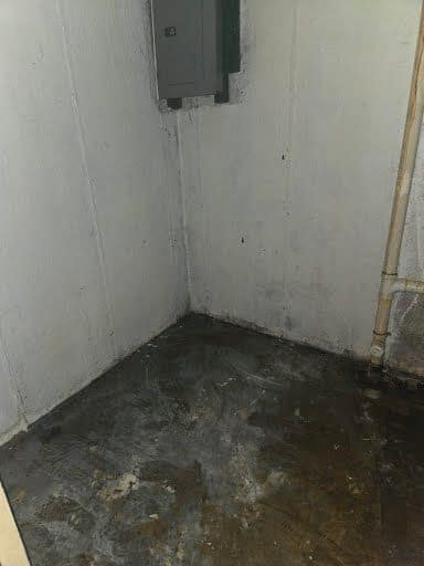 1039 Gimblin Street, St. Louis, MO: owner financed home, photo 21