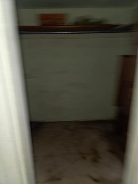712 W Waggoner St, Decatur, IL: owner financed home, photo 28