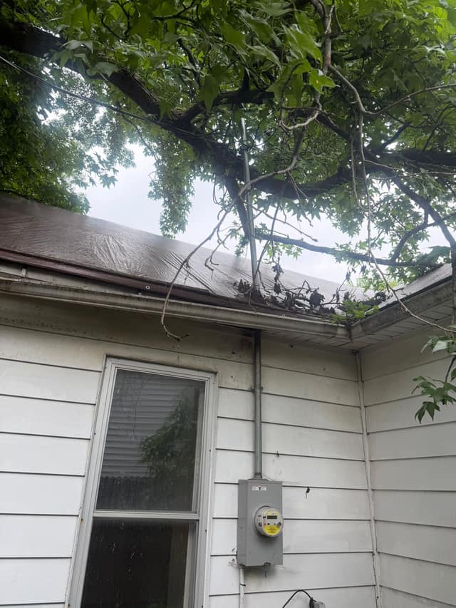707 N Madison st, Litchfield, IL: owner financed home, photo 26