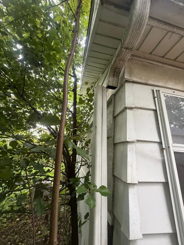 707 N Madison st, Litchfield, IL: owner financed home, photo 28