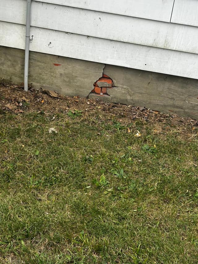 529 N 2nd Street, Witt, IL: owner financed home, photo 17
