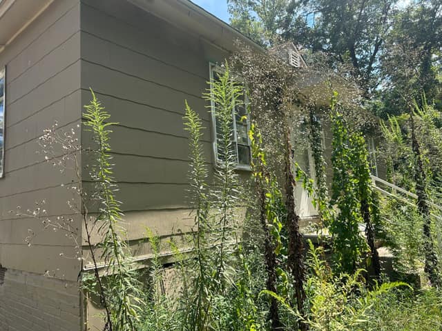 1753 McGee St, Jackson, MS: owner financed home, photo 7