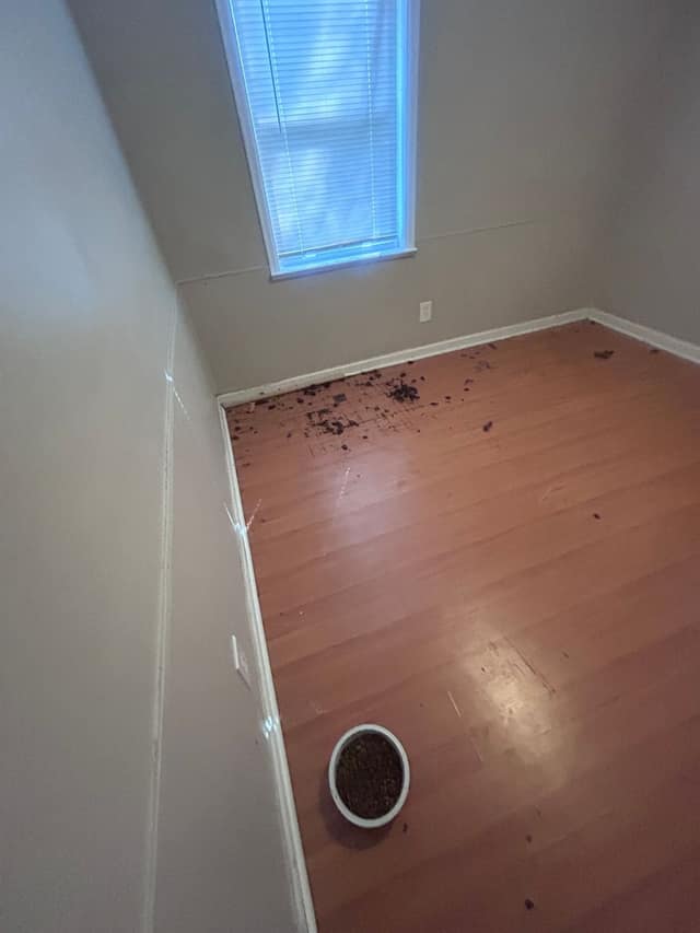10044 Green Valley Dr, St. Louis, MO: owner financed home, photo 12