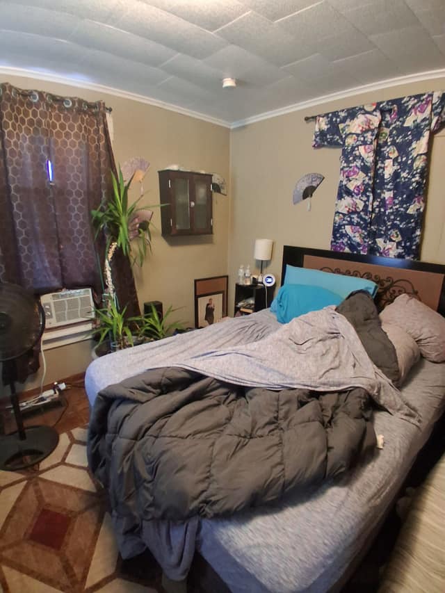 303 W. Sycamore Street, Carbondale, IL: owner financed home, photo 17