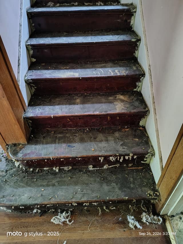520 East Frye Avenue, Peoria, IL: owner financed home, photo 5